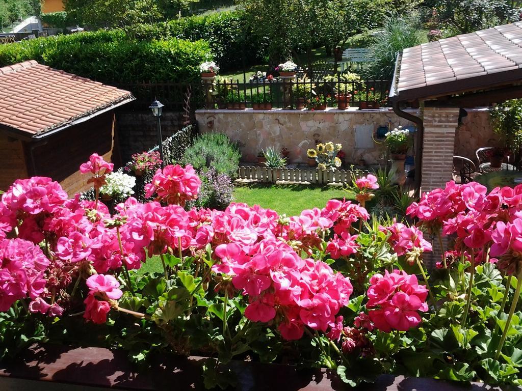 Casa Del Girasole Frühstückspension Genazzano